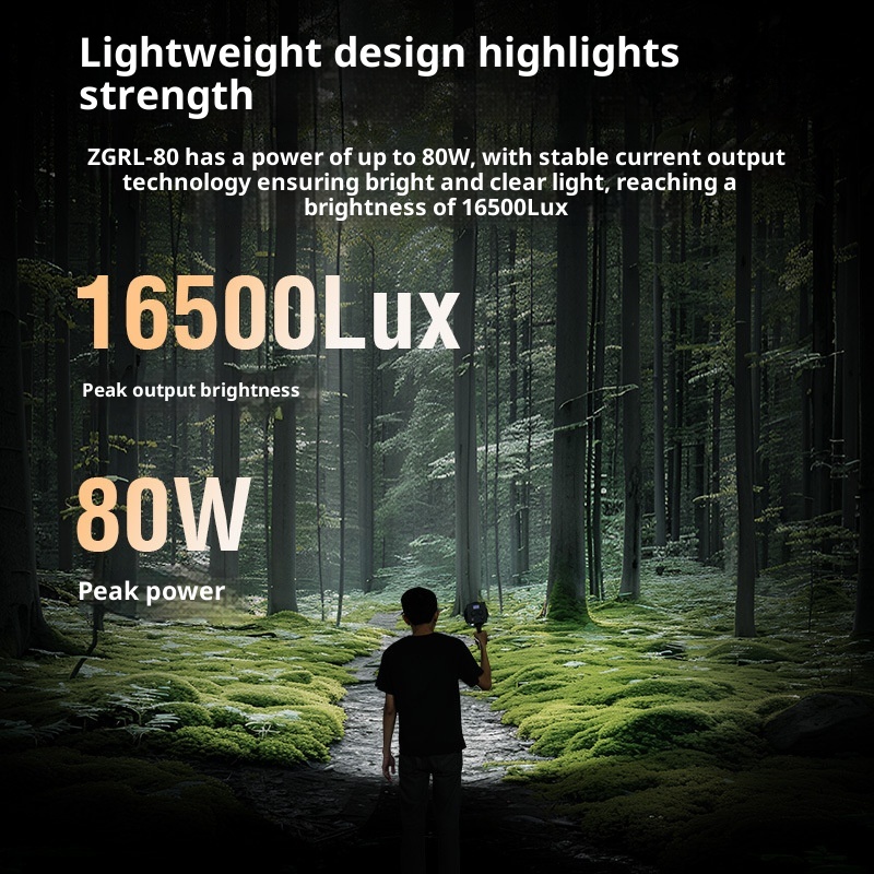 Luz LED de vídeo COB ZGRL80 de - Photography Treatment reseña y precio